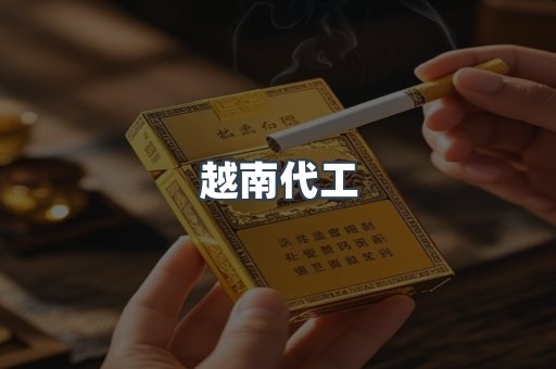越南代工